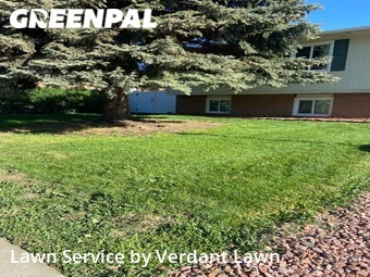 Grass Cutting nearby Loveland, CO, 