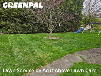 Grass Cutting nearby Springdale, PA, 