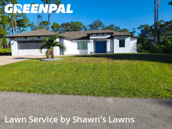 Grass Cut nearby Port Charlotte, FL, 