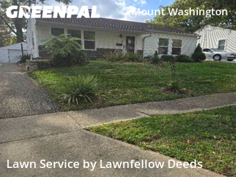 Affordable Landscaping In Cincinnati,45230,Landscaping by Lawnfellow Deeds, work completed in Nov , 2025