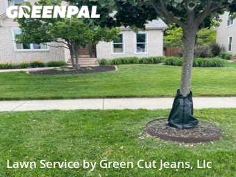 Lawn Care nearby Elgin, IL, 