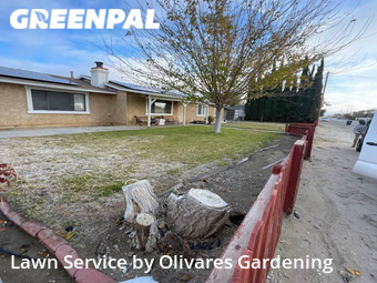Lawn Cutting nearby Littlerock, CA, 