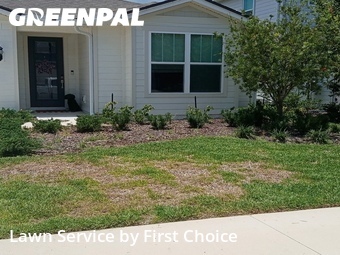 Lawn Mow nearby St. Augustine, FL, 