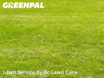 Lawn Mow nearby Wendell, NC, 