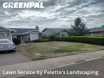 Grass Cut nearby Olivehurst, CA, 