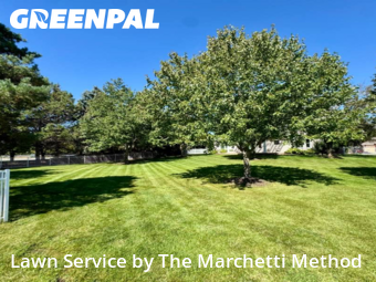 Yard Cutting nearby Aurora, IL, 