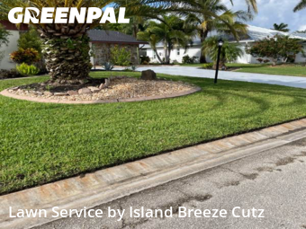 Lawn Cut nearby Fort Myers, FL, 
