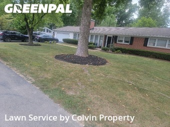 Lawn Cut nearby St. Louis, MO, 
