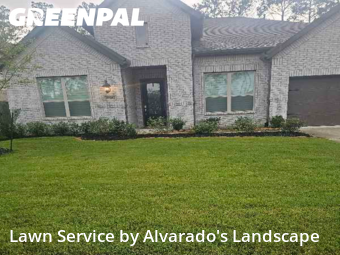 Lawn Care Servicein Porter,77365,Grass Cut by Alvarado's Landscape, work completed in Nov , 2025