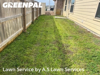 Grass Cut nearby New Braunfels, TX, 