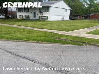 Grass Cut nearby Louisville, KY, 