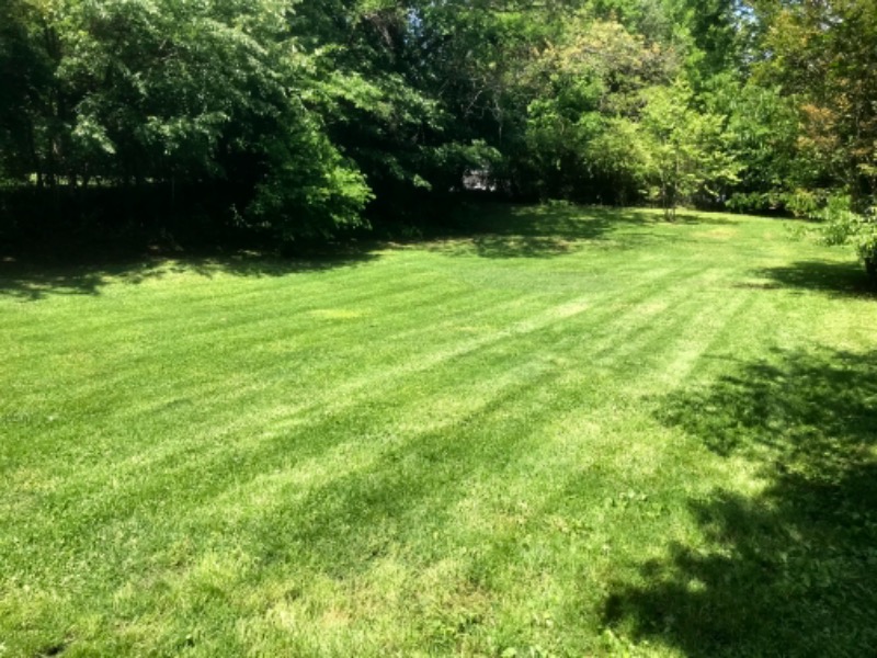 Lindsays Lawn Care Lawn Care Services in Knoxville, TN