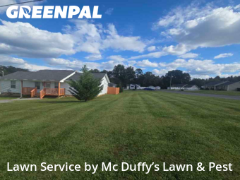 Lawn Cut nearby Baneberry, TN, 