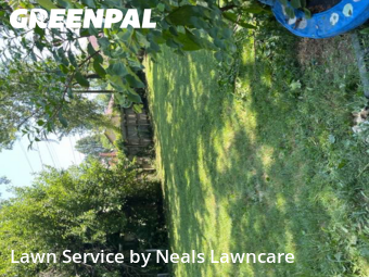 Lawn Mowing nearby Lexington, KY, 