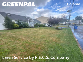 Lawn Mow nearby Woodbridge Township, NJ, 