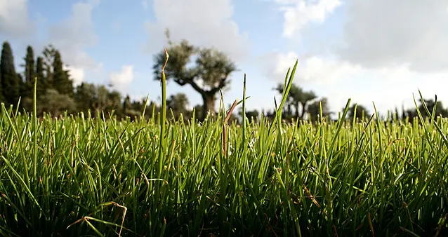 Need a one-time lawn mowing? Get ready to pay more and wait. (Here's The Research)