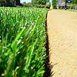 residential-lawn-cutting-businesses-in-Carson City-NV