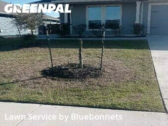 Lawn Mow nearby Hutto, TX, 