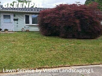 Lawn Management in Whitehall, 18052, Grass Services by Vision Landscaping L, work completed in Nov , 2025