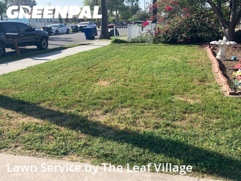 Grass Cut nearby San Bernardino, CA, 