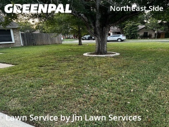 Lawn Cut nearby Converse, TX, 