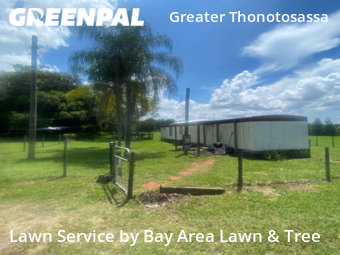 Lawn Mowing Service nearby Thonotosassa, FL, 