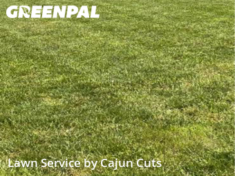 Yard Mowing nearby Murfreesboro, TN, 