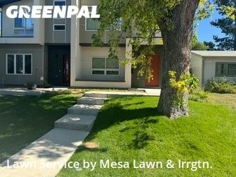 Lawn Cut nearby Englewood, CO, 
