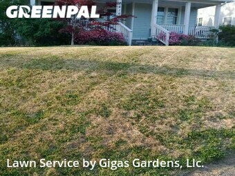 Yard Mowing nearby Falls Church, VA, 