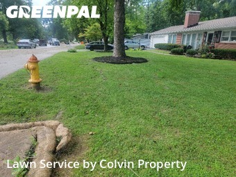 Lawn Mow nearby St. Louis, MO, 