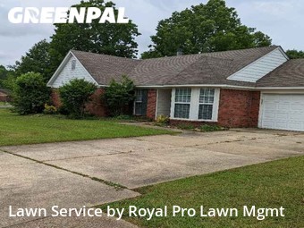 Lawn Mow nearby Olive Branch, MS, 