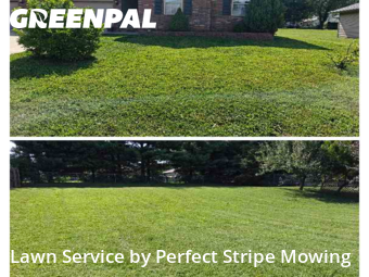 Lawn Service nearby Battlefield, MO, 