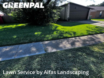 Lawn Maintenancein The Colony,75056,Grass Cutting by Alfas Landscaping, work completed in Dec , 2025