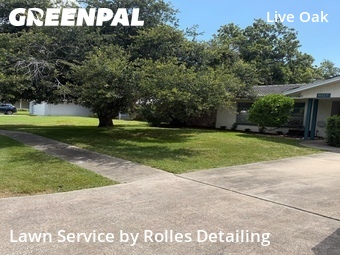 Lawn Mow nearby Clearwater, FL, 