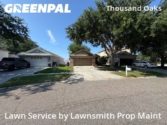 Grass Cutting nearby Trinity, FL, 