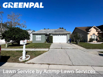 Yard Cutting nearby Palm Harbor, FL, 