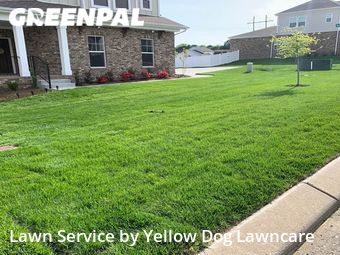 Lawn Cut nearby Mt. Juliet, TN, 