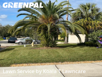 Lawn Cut nearby Jacksonville, FL, 