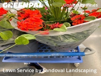 Lawn Mowing nearby Lubbock, TX, 