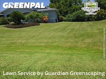 Lawn Care nearby Fort Myers, FL, 