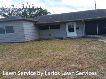 Residential Landscaping In Pasadena,77502,Landscaping Maintenance by Larios Lawn Services, work completed in Jan , 2026