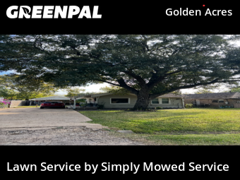 Landscaping Services In Pasadena,77503,Landscaping Cleanup by Simply Mowed Service, work completed in Jan , 2026