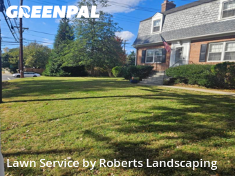 Grass Cut nearby Chevy Chase, VA, 