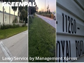 Yard Grooming in Punta Gorda, 33955, Landscaping Maintenance by Management Xpress , work completed in Nov , 2025