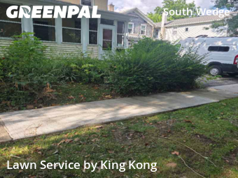 Front Yard Mowing in Rochester, 14620, Lawn Management by King Kong, work completed in Oct , 2025