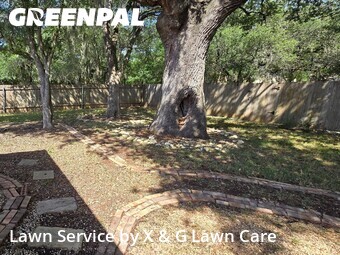 Lawn Care nearby San Marcos, TX, 