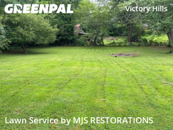 Lawn Cut nearby Kansas City, MO, 