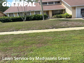 Mowing Services in Wellington, 33414, Grass Services by Madissons Green, work completed in Nov , 2025