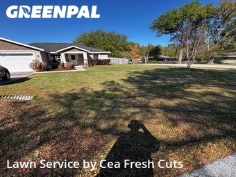 Lawn Mow nearby Ocala, FL, 