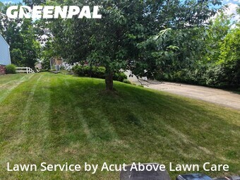 Lawn Cut nearby Pittsburgh, PA, 